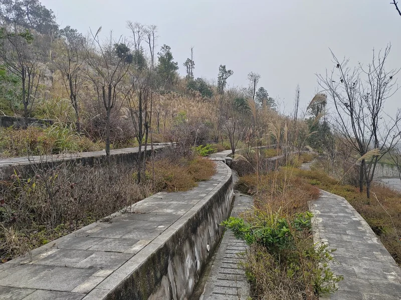 thumb_IMG_20230112_100351