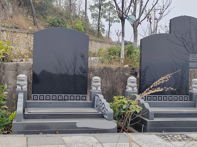 thumb_IMG_20230112_100840