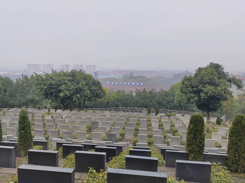 thumb_IMG_20230118_095231