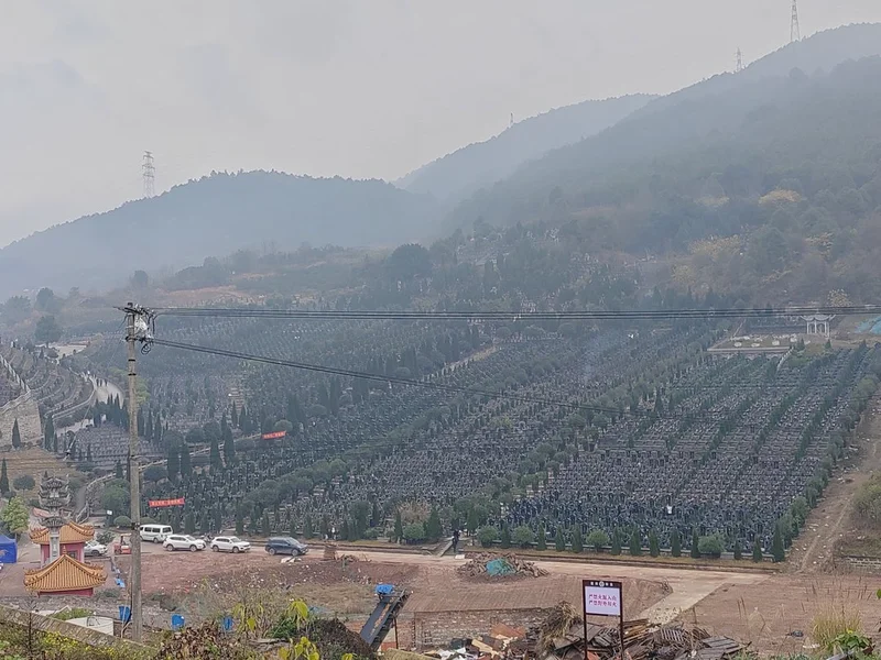 thumb_IMG_20230118_095631