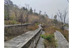 小型墓园设计，打造和谐与尊重的纪念空间