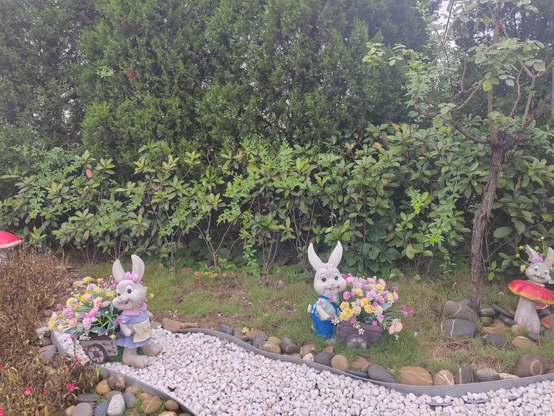 thumb_IMG_20230616_091037