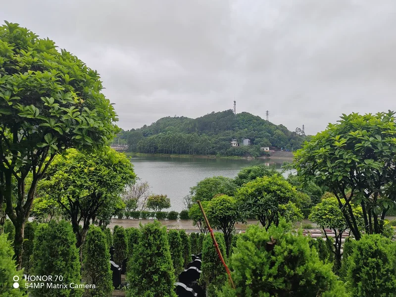 墓区环境优势