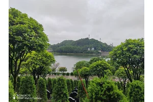 墓区环境优势